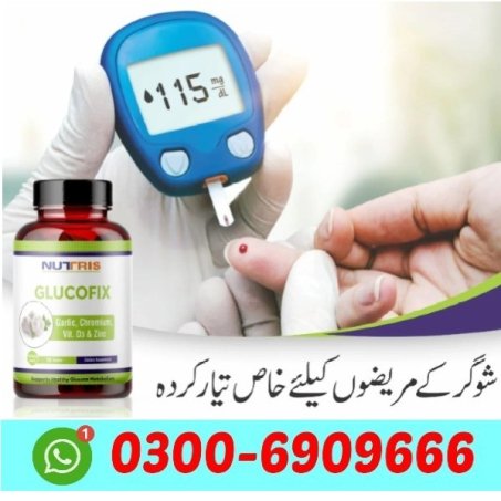 Glucofix Tablets in Pakistan