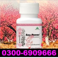 Green World Soy Power Capsule In Pakistan
