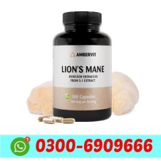 Lions Mane Mushroom Extract Supplement in Pakistan