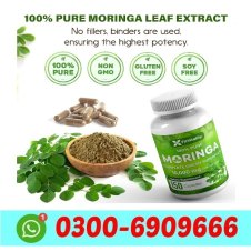 Moringa Leaf Capsule in Pakistan