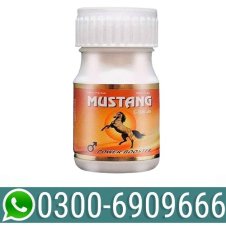 Mustang Capsule In Pakistan