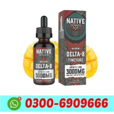 Native Extracts Warrior Delta-8 4 1 CBG Tincture 3000mg in Pakistan