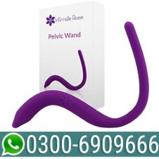 buy Vibrating Pelvic Wand Price In Pakistan