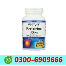 WellBetX Berberine 500mg In Pakistan