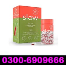 Wellbeing Nutrition Slow Burn Capsule In Pakistan